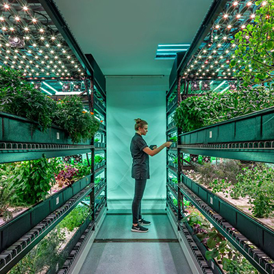 verticalfarming